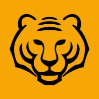 Asian Tigers Group