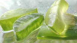 aloe4268793_1280.jpg