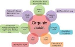 organic.jpg
