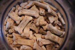 dogtreats6870910_1280.jpg