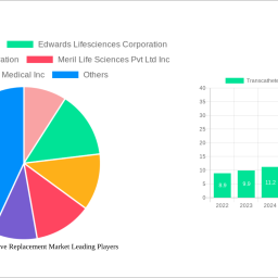 transcatheter-aortic-valve-replacement-market-strategic-insights-analysis-2024-and-forecasts-2032