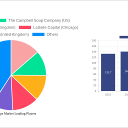 potato-chips-market-size-share-and-growth-report-in-depth-analysis-and-forecast-to-2032