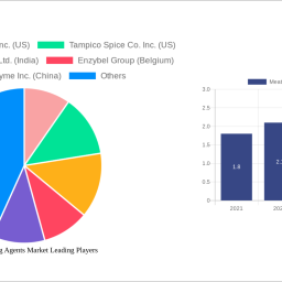 meat-tenderizing-agents-market-strategic-insights-analysis-2024-and-forecasts-2032
