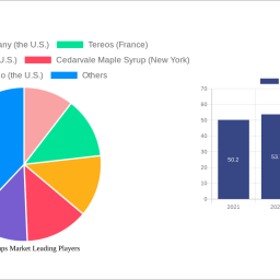 sugar-syrups-market-unlocking-growth-potential-analysis-and-forecasts-2024-2032