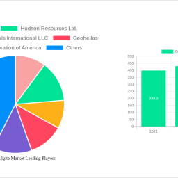 global-attapulgite-market-decade-long-trends-analysis-and-forecast-2024-2032