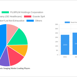 saudi-arabia-diagnostic-imaging-market-charting-growth-trajectories-analysis-and-forecasts-2024-2032