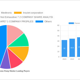 france-insulin-infusion-pump-market-navigating-dynamics-comprehensive-analysis-and-forecasts-2024-2032