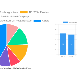 south-america-soy-protein-ingredients-market-report-probes-the-xx-million-size-share-growth-report-and-future-analysis-by-2032