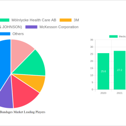 medical-tapes-bandages-market-2024-2032-overview-trends-competitor-dynamics-and-opportunities