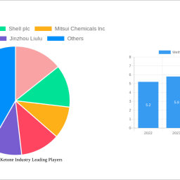 methyl-isobutyl-ketone-industry-strategic-insights-analysis-2024-and-forecasts-2032