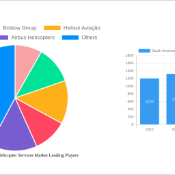 south-america-offshore-helicopter-services-market-2024-2032-analysis-trends-competitor-dynamics-and-growth-opportunities