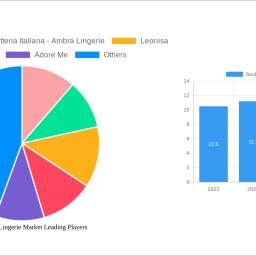 south-america-lingerie-market-strategic-insights-analysis-2024-and-forecasts-2032