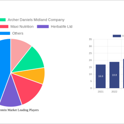 functional-protein-market-charting-growth-trajectories-analysis-and-forecasts-2024-2032