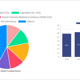 fructose-market-strategic-insights-for-2024-and-forecasts-to-2032-market-trends