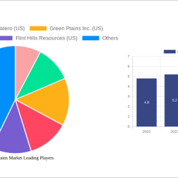 distillers-grains-market-strategic-roadmap-analysis-and-forecasts-2024-2032