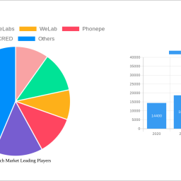 asia-fintech-market-strategic-roadmap-analysis-and-forecasts-2024-2032