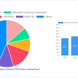 middle-east-and-africa-thermoplastic-elastomer-tpe-market-growth-opportunities-and-market-forecast-2024-2032-a-strategic-anal