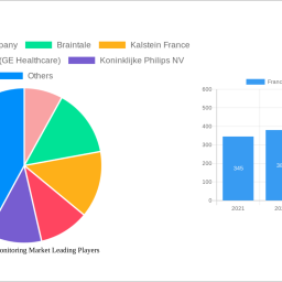 france-patient-monitoring-market-strategic-insights-analysis-2024-and-forecasts-2032