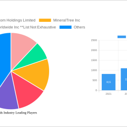 virtual-cards-industry-report-2024-growth-driven-by-government-incentives-and-partnerships