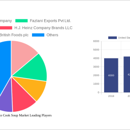 united-states-ready-to-cook-soup-market-strategic-insights-for-2024-and-forecasts-to-2032-market-trends