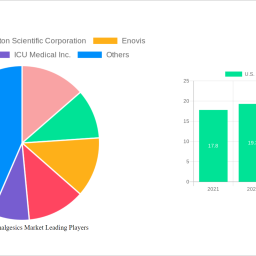 us-external-analgesics-market-strategic-insights-analysis-2024-and-forecasts-2032
