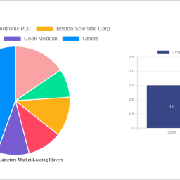 europe-urinary-catheters-market-strategic-roadmap-analysis-and-forecasts-2024-2032