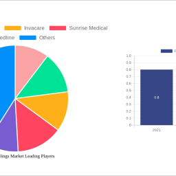 patient-lift-slings-market-2024-2032-analysis-trends-competitor-dynamics-and-growth-opportunities