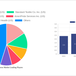 hospital-gowns-market-2024-2032-overview-trends-dynamics-and-growth-opportunities