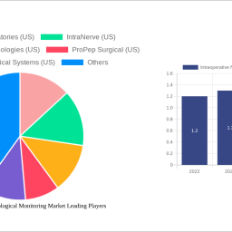 intraoperative-neurophysiological-monitoring-market-2024-2032-overview-trends-competitor-dynamics-and-opportunities