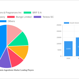 south-america-plant-protein-ingredients-market-decade-long-trends-analysis-and-forecast-2024-2032