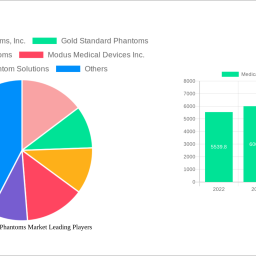 medical-imaging-phantoms-market-future-proof-strategies-trends-competitor-dynamics-and-opportunities-2024-2032