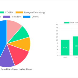 south-korea-anti-acne-dermal-patch-market-insightful-analysis-trends-competitor-dynamics-and-opportunities-2024-2032