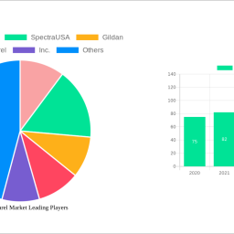 blank-apparel-market-strategic-insights-for-2024-and-forecasts-to-2032-market-trends