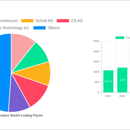 transparent-ceramics-market-2024-trends-and-forecasts-2032-analyzing-growth-opportunities