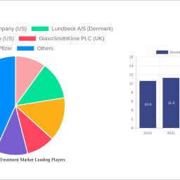 anxiety-disorder-treatment-market-insightful-analysis-trends-competitor-dynamics-and-opportunities-2024-2032