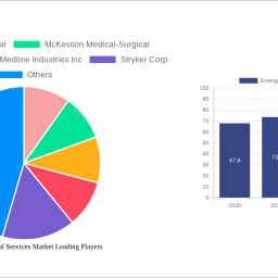 emergency-medical-services-market-2024-2032-overview-trends-competitor-dynamics-and-opportunities