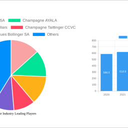champagne-industry-future-proof-strategies-trends-competitor-dynamics-and-opportunities-2024-2032