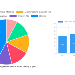 global-micro-injection-molding-medical-devices-market-insightful-market-analysis-trends-and-opportunities-2024-2032