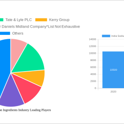 india-sodium-reduction-ingredients-industry-decade-long-trends-analysis-and-forecast-2024-2032