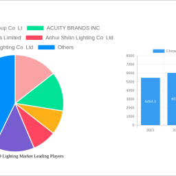 china-indoor-led-lighting-market-strategic-market-roadmap-analysis-and-forecasts-2024-2032