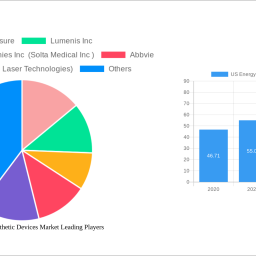 us-energy-based-aesthetic-devices-market-decade-long-trends-analysis-and-forecast-2024-2032
