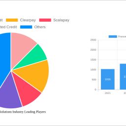 france-pay-later-solutions-industry-strategic-insights-analysis-2024-and-forecasts-2032