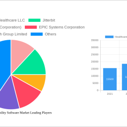 healthcare-interoperability-software-market-2024-trends-and-forecasts-2032-analyzing-growth-opportunities