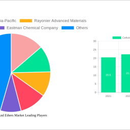 cellulose-esters-and-ethers-market-navigating-dynamics-comprehensive-analysis-and-forecasts-2024-2032