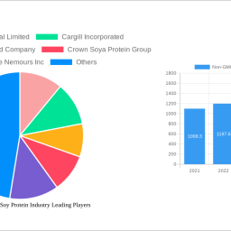 non-gmo-textured-soy-protein-industry-analysis-2024-and-forecasts-2032-unveiling-growth-opportunities