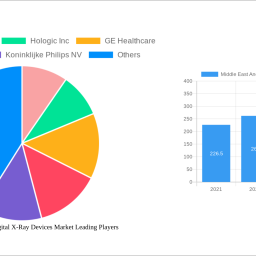 middle-east-and-africa-digital-x-ray-devices-market-2024-2032-market-analysis-trends-dynamics-and-growth-opportunities