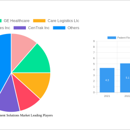 patient-flow-management-solutions-market-strategic-insights-analysis-2024-and-forecasts-2032