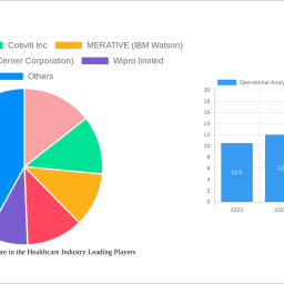 operational-analytics-software-in-the-healthcare-industry-unlocking-growth-potential-analysis-and-forecasts-2024-2032