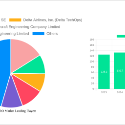 aircraft-mro-market-charting-growth-trajectories-analysis-and-forecasts-2024-2032