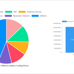 europe-polyurethane-adhesives-industry-analysis-report-2024-market-to-grow-by-a-cagr-of-600-600-to-2032-driven-by-governm